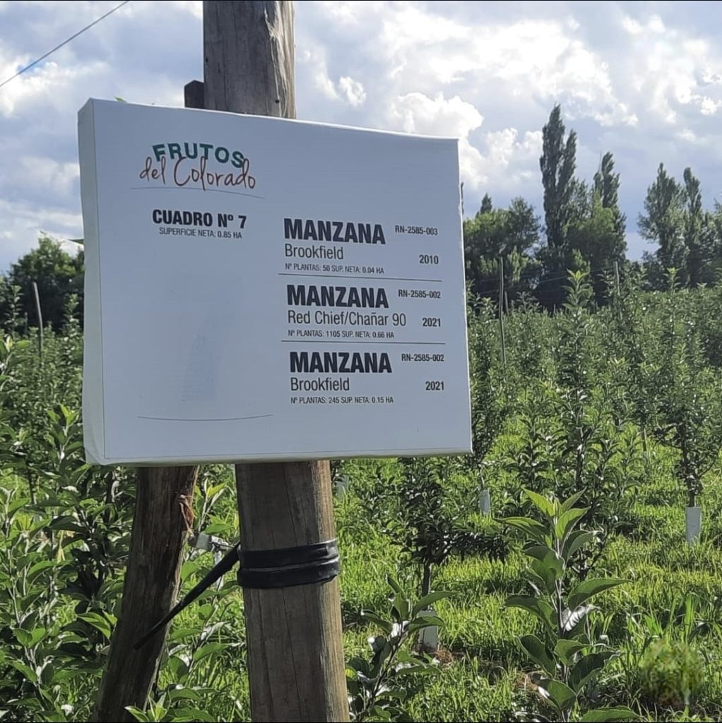 Frutos del Colorado