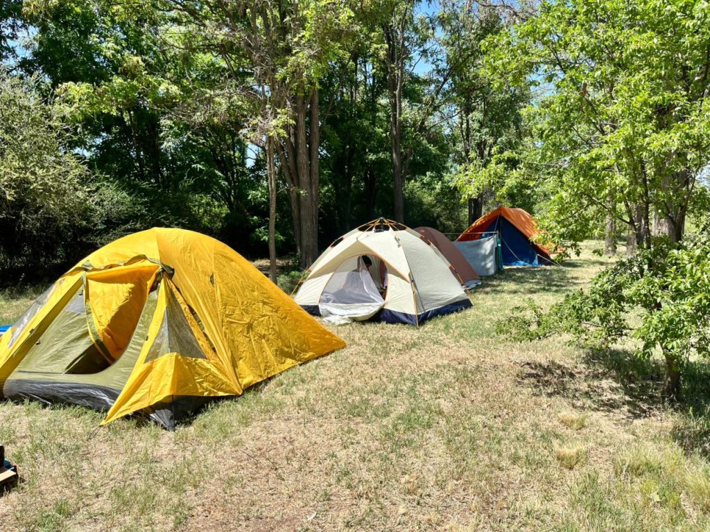 Yapay Peñi Ecocamping