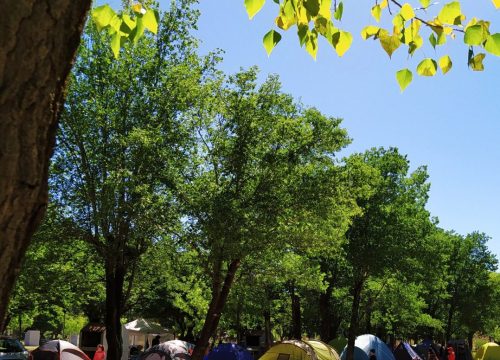 CAMPING MUNICIPAL