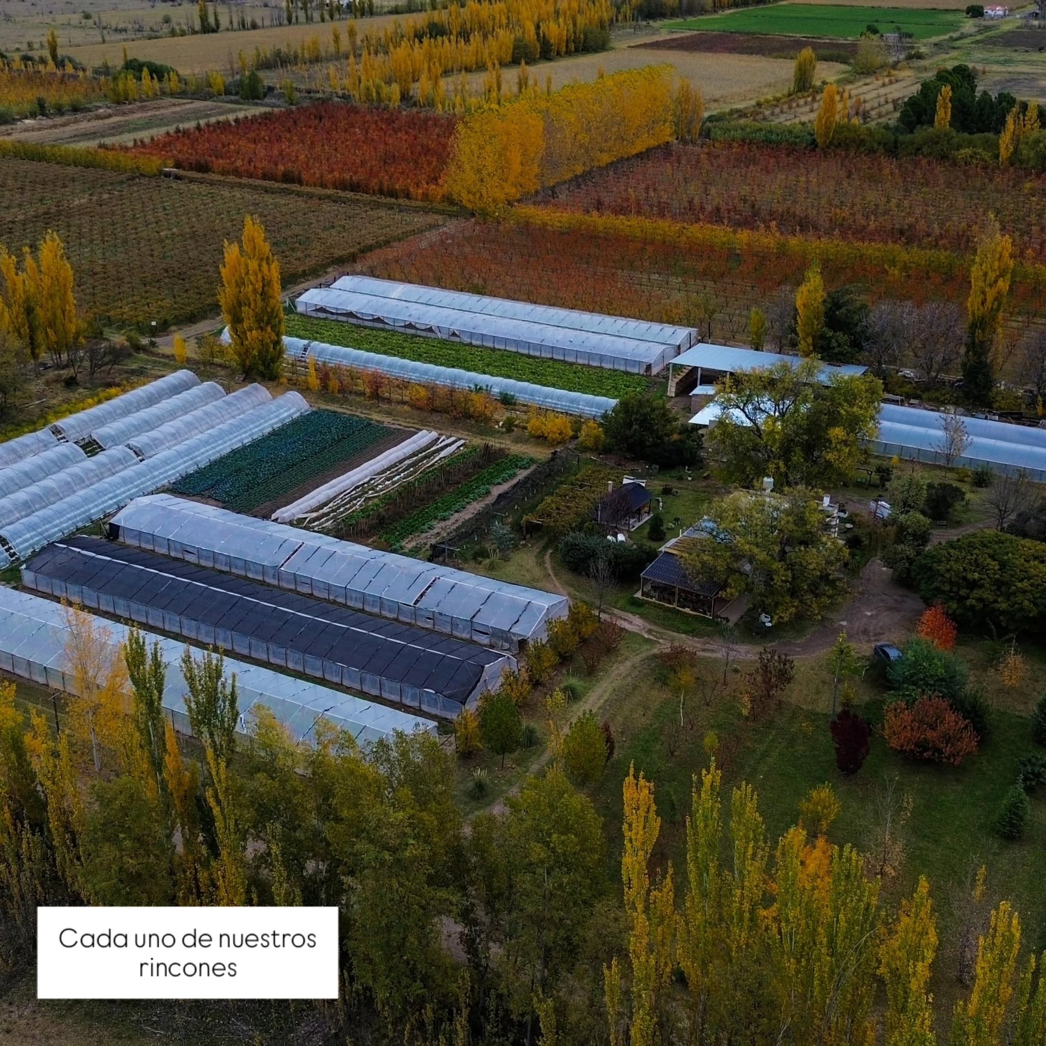  frutosdelcolorado@gmail.com