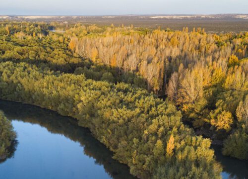 125 años de historia, identidad y crecimiento junto al río