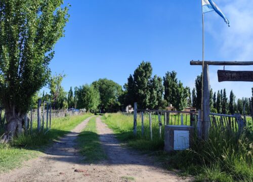 Río Colorado, un destino para disfrutar la naturaleza todo el año