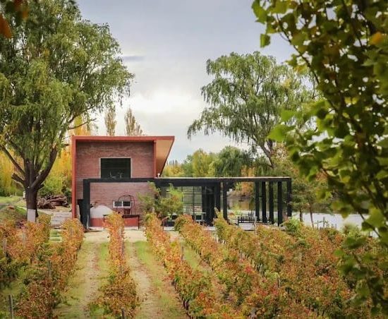 Bodega Trina