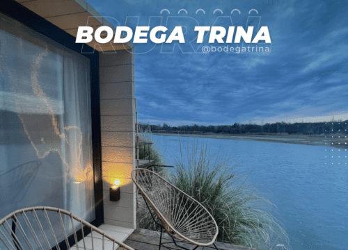 Trina Bodega & Viñedos