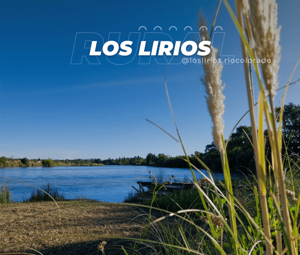 Los Lirios