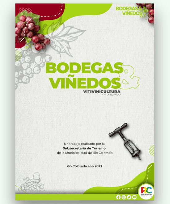 Bodegas y Viñedos Resumen