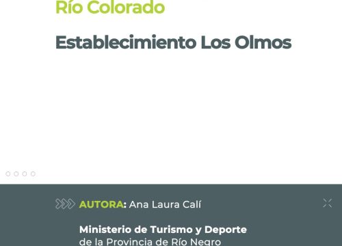 Establecimiento Los Olmos