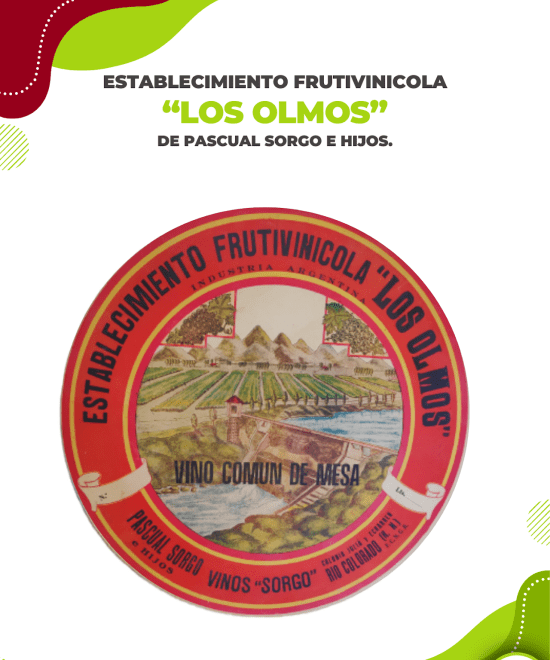 Establecimiento Los Olmos