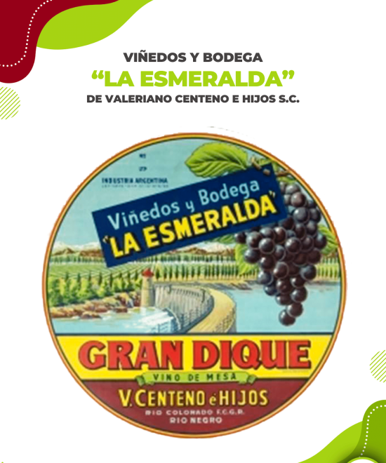 Viñedos y Bodega La Esmeralda