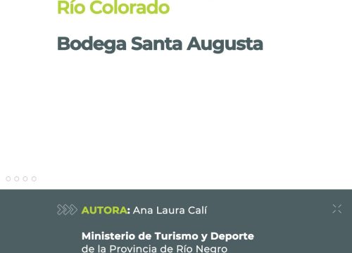 Bodega & Viñedo Santa Augusta