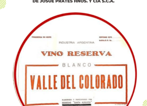 Bodega & Viñedo Santa Augusta