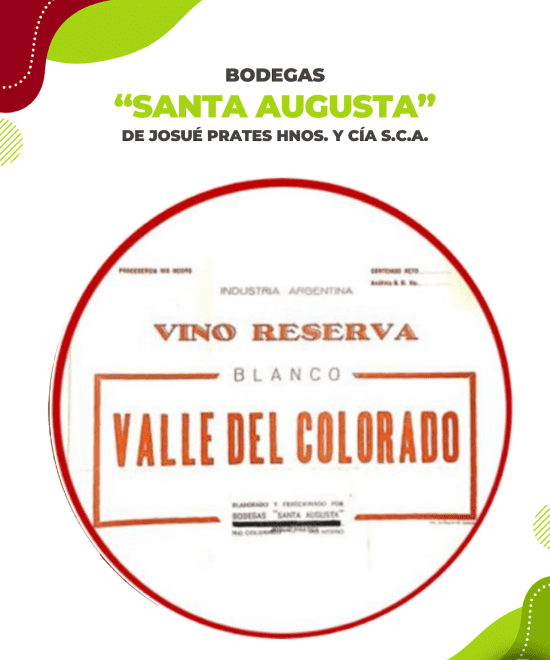 Bodega & Viñedo Santa Augusta