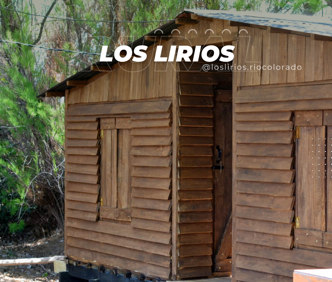 Los-lirios-1