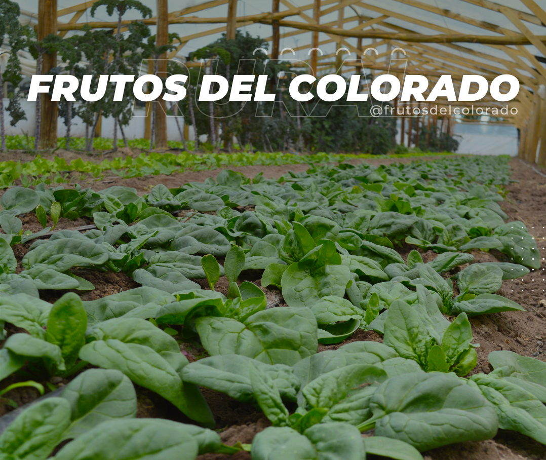 frutos-del-colorado