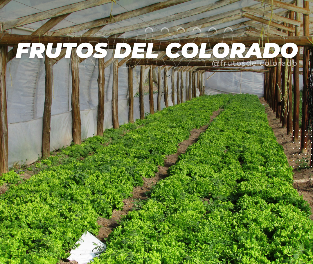 frutos-del-colorado2