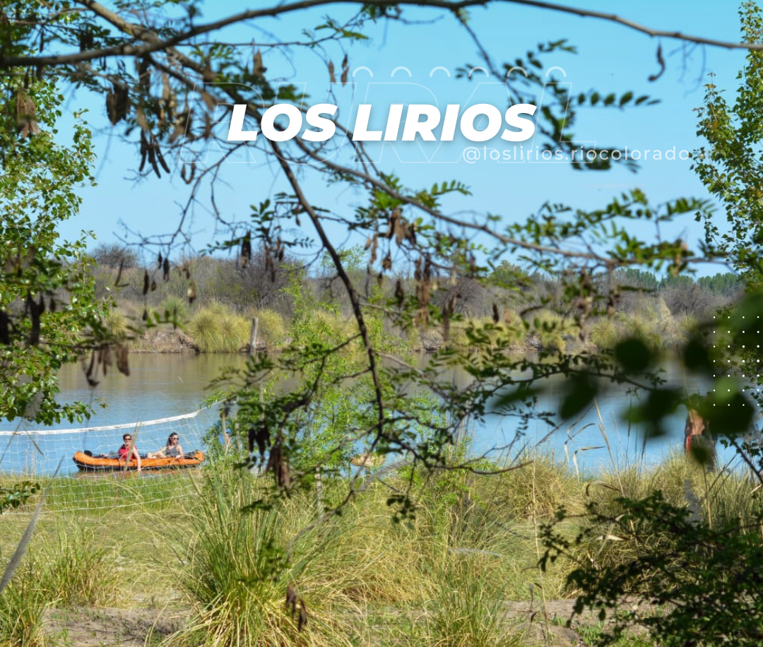 los-lirios1
