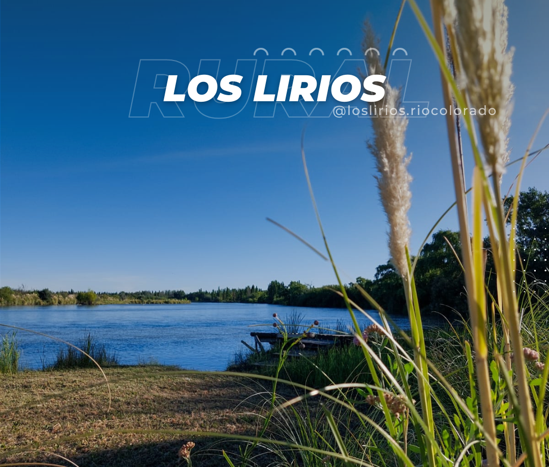 los-lirios3