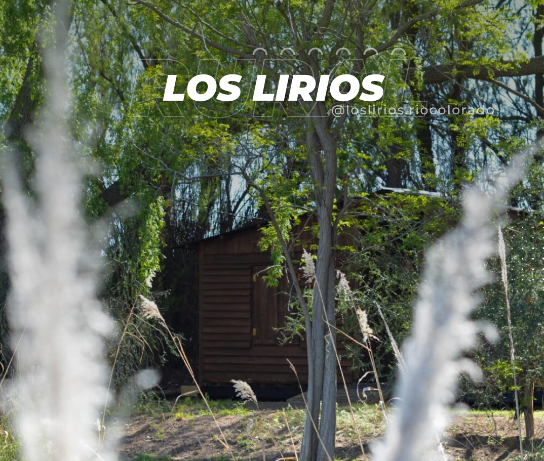 los-lirios4