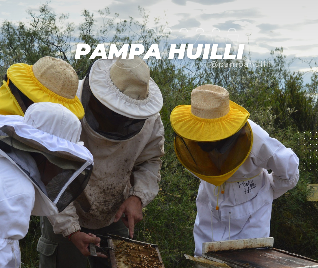 pampa-huili1